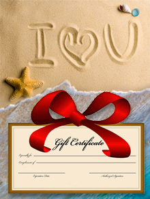 bridal wedding gift registry certificates