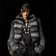 hp-fur-coat-restyling fur coat restyling reconditioning st. louis