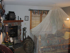 Safari Room