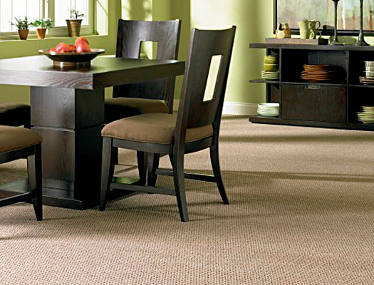 carpet