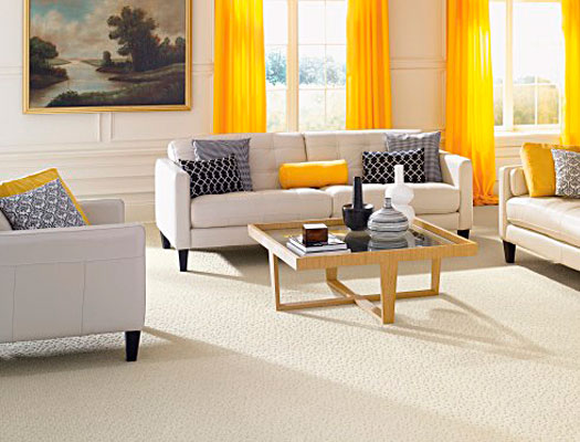 carpet image